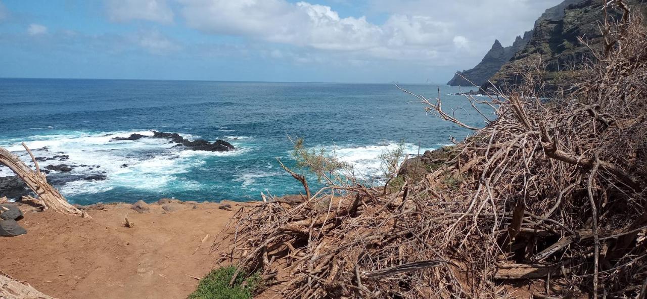 Playa Y Montana: Naturaleza Y Armonia Holiday home La Laguna (Tenerife)